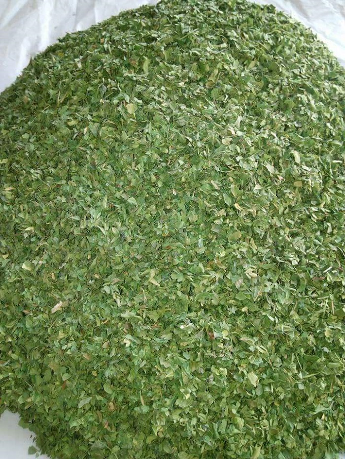 34764 - Offer Parsley Egypt