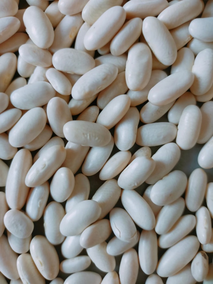 46646 - White beans Egypt