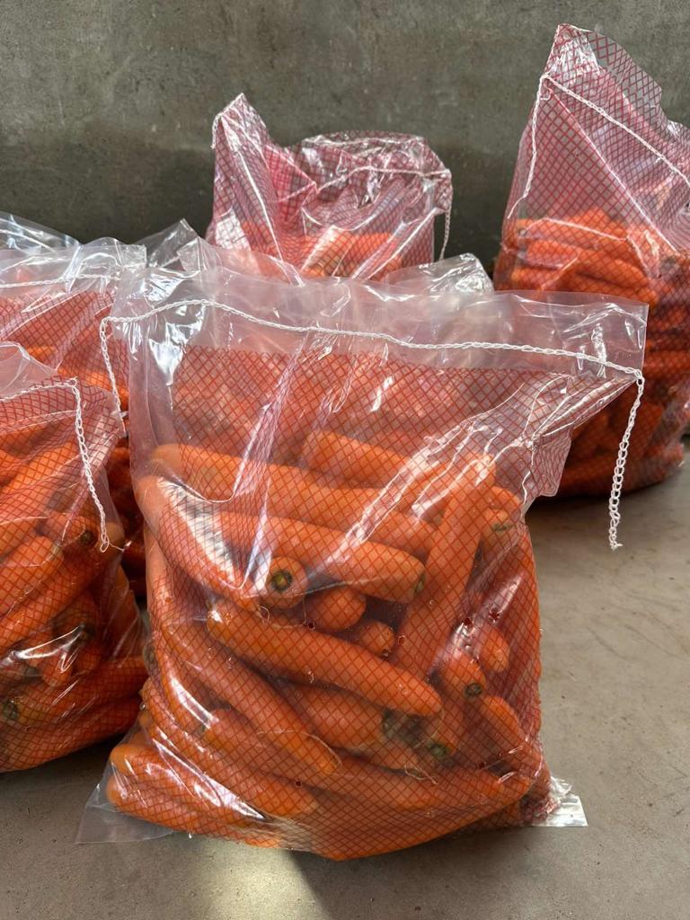 49376 - Carrot Europe