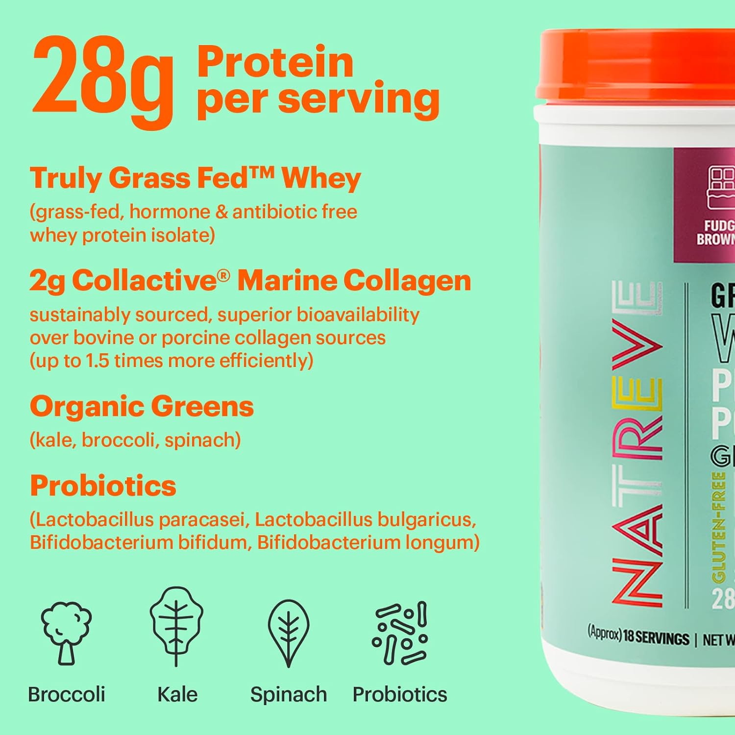 54933 - Natreve Whey Protein Powder USA